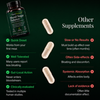 Glyco Balance